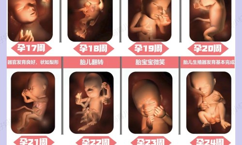 山栀子可以去黄疸吗-山栀治婴儿惊吓有害吗网 :分享山栀对小孩子的好处-山栀对小孩子的好处知识